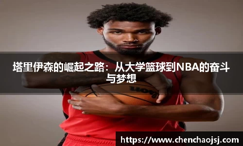bellbet贝博官网